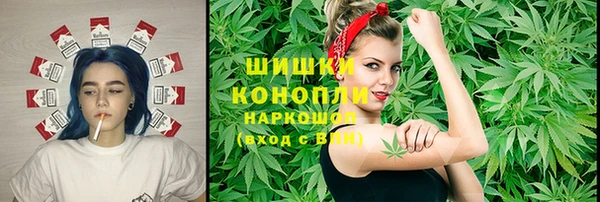 бошки Белокуриха