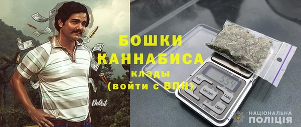 бошки Белокуриха