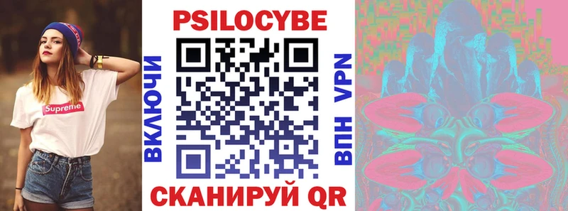 цена   Нижний Новгород  omg ссылка  Псилоцибиновые грибы Cubensis 